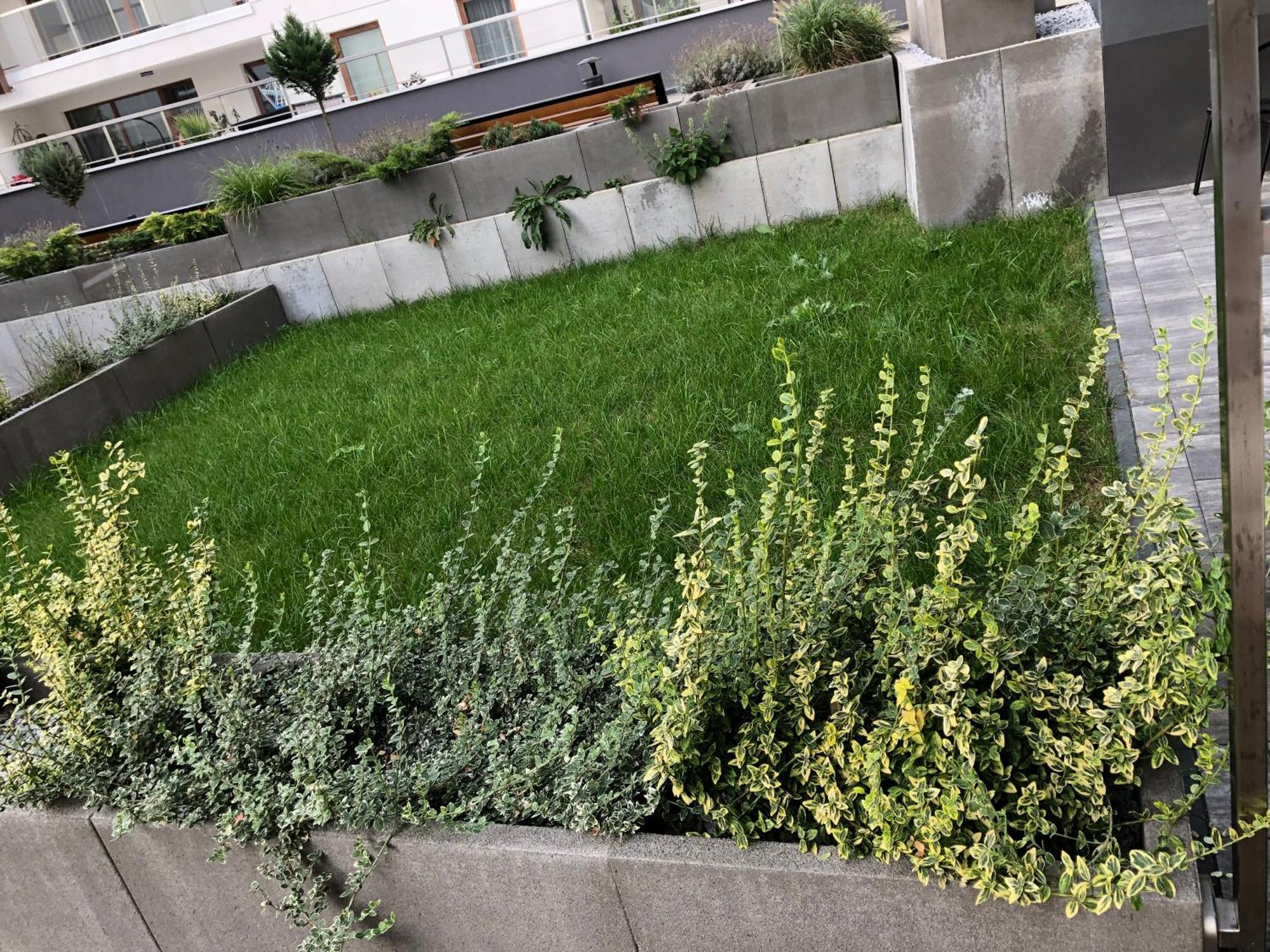 Komfortowe Apartamenty Kielce Klonowa ,Ogrodek, Garaz Podziemny, Samodzielne Wejscie Na Kod 24H エクステリア 写真